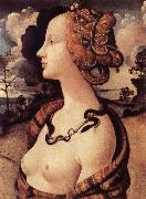 Portrat of Simonetta Vespucci Piero di Cosimo